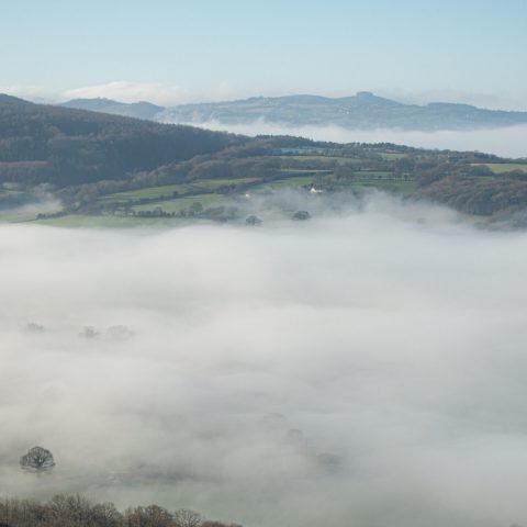 DSC06890