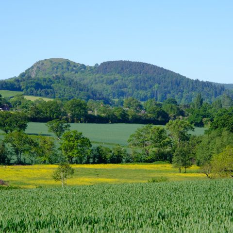 DSCF0073