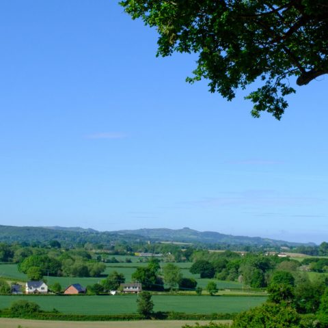 DSCF0088