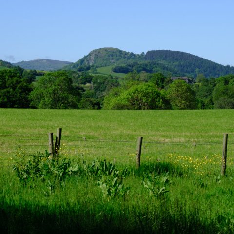 DSCF0089