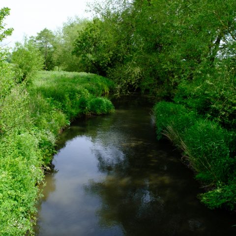 DSCF0093-2