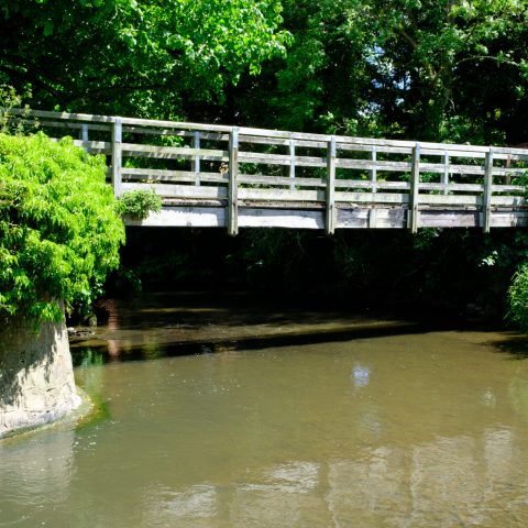DSCF0136